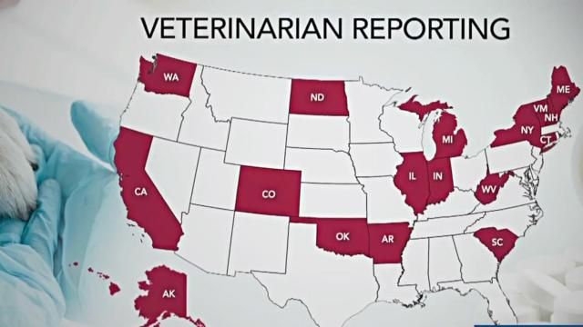 CUREpidemic's tweet photo. Veterinarians in #NC join fight against opioids. https://t.co/ms8JS9oDMJ Starting 6/3, veterinarians in NC will be required to submit opioid prescription information to the Controlled Substance Abuse Reporting System if they dispense certain types of drugs to a pet owner. #OUD https://t.co/czmkXNv44k