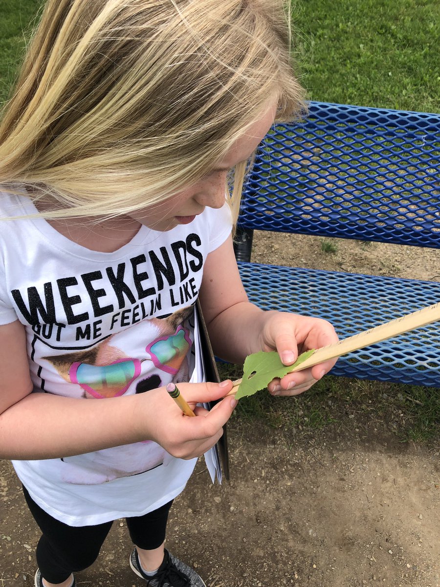 ShannonRicker28's tweet photo. PK 3rd Grade Mathematicians worked hard outdoors this week identifying angles, taking measurements, and creating line plots with their data! #mathisfun https://t.co/2DTIl23FEj