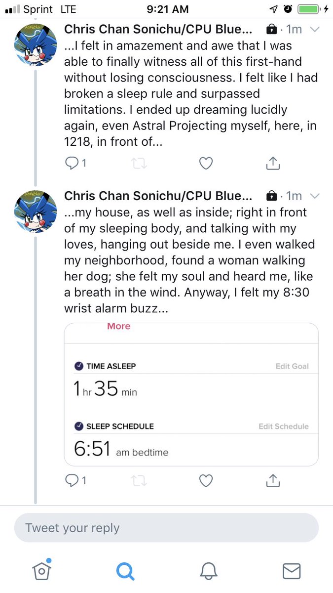 Chris Chan Sonichu/CPU Blue Heart tweet media