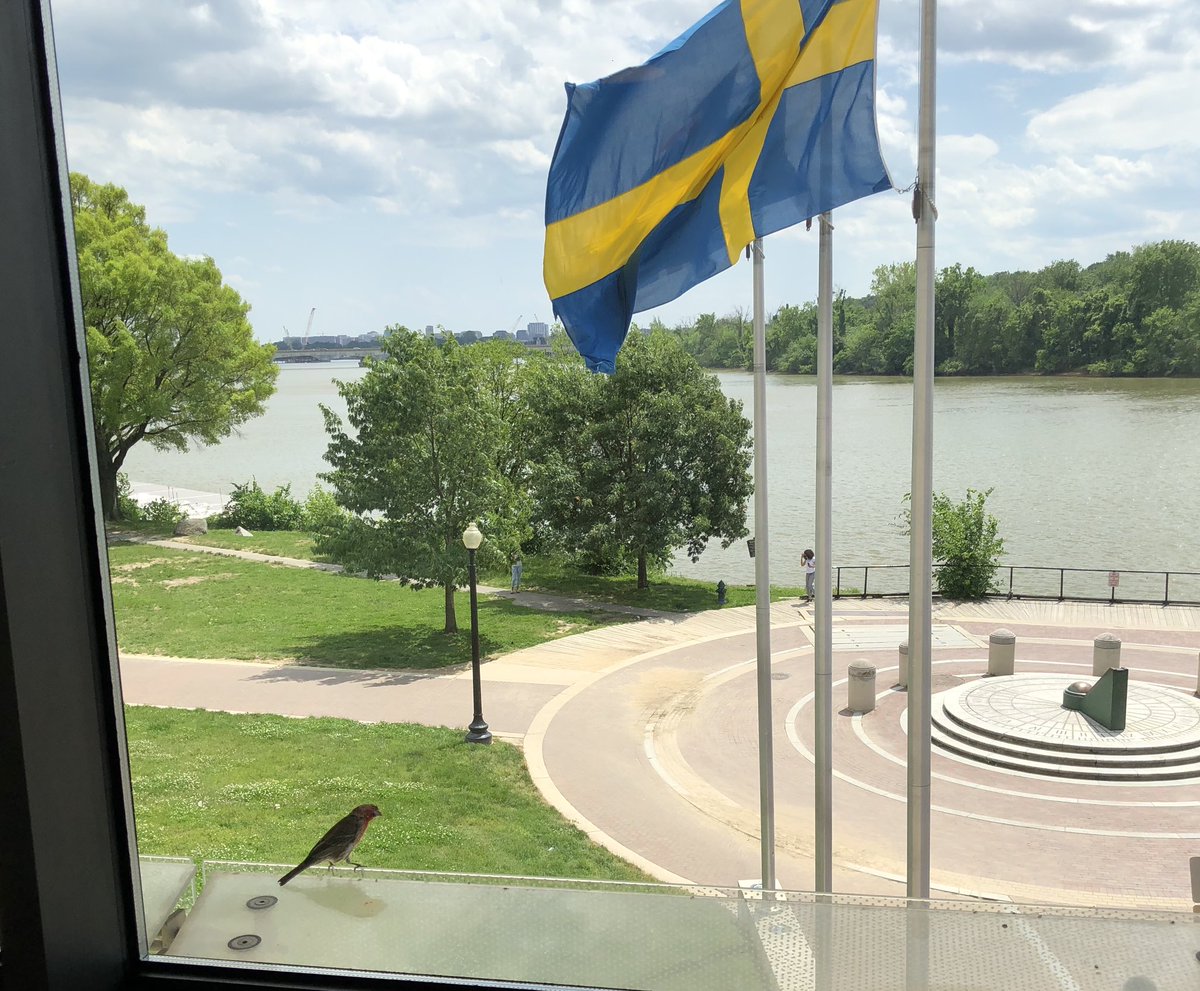 MonicaEnqvist's tweet photo. A beautiful day to explore #HouseofSweden in #WashingtonDC and see @SwedeninUSA different #exhibitions. Art by 🇸🇪Siri Berg, exhibit #UrbanChallenges and our room for children. @IcelandInUS has a NEW exhibition about the Arctic. Welcome 12-5 pm. Free admission. https://t.co/PD7NoInYNo