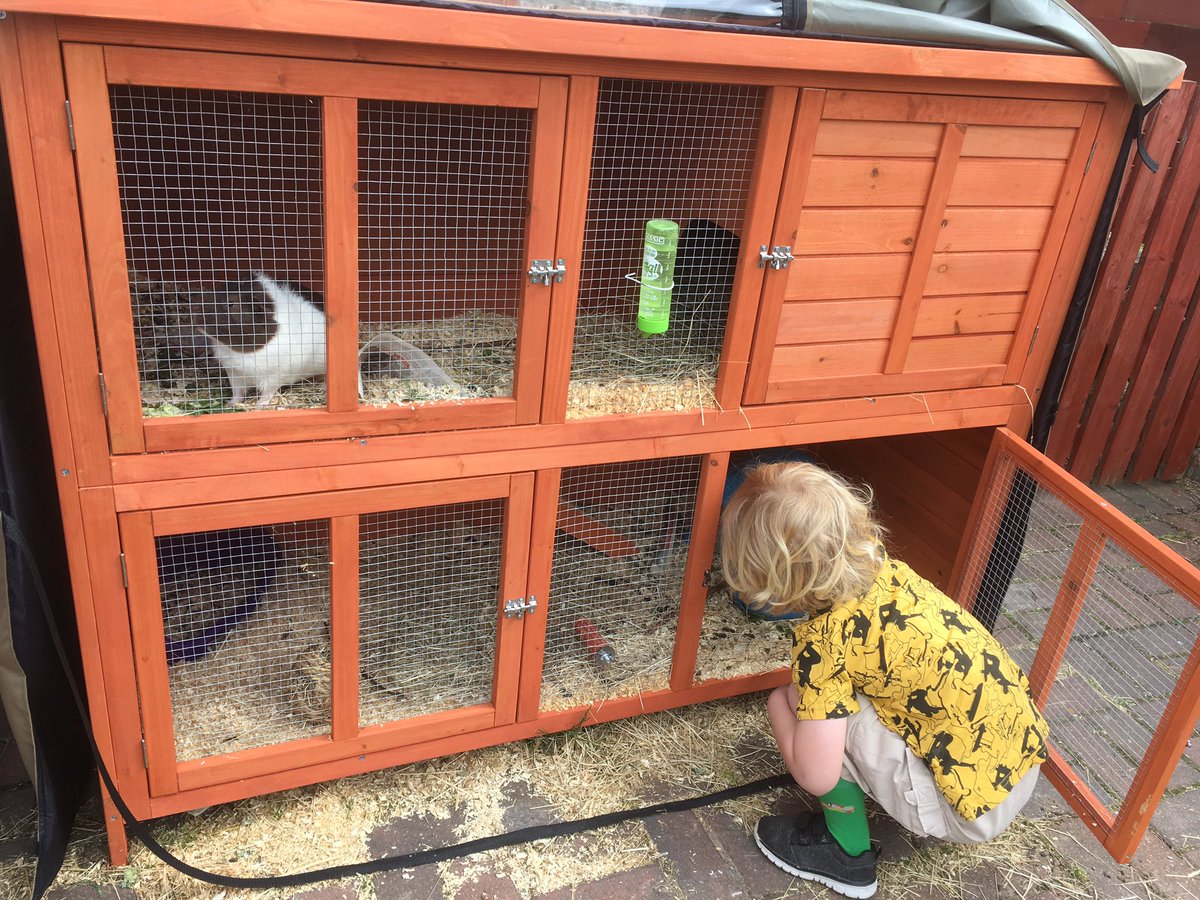 Lynnabella's tweet photo. @mattocks_ps mylo and Quinn hoovering. And Rogan & Quinn feeding guinea pigs #MM4Matocks https://t.co/90EaoqTBGd