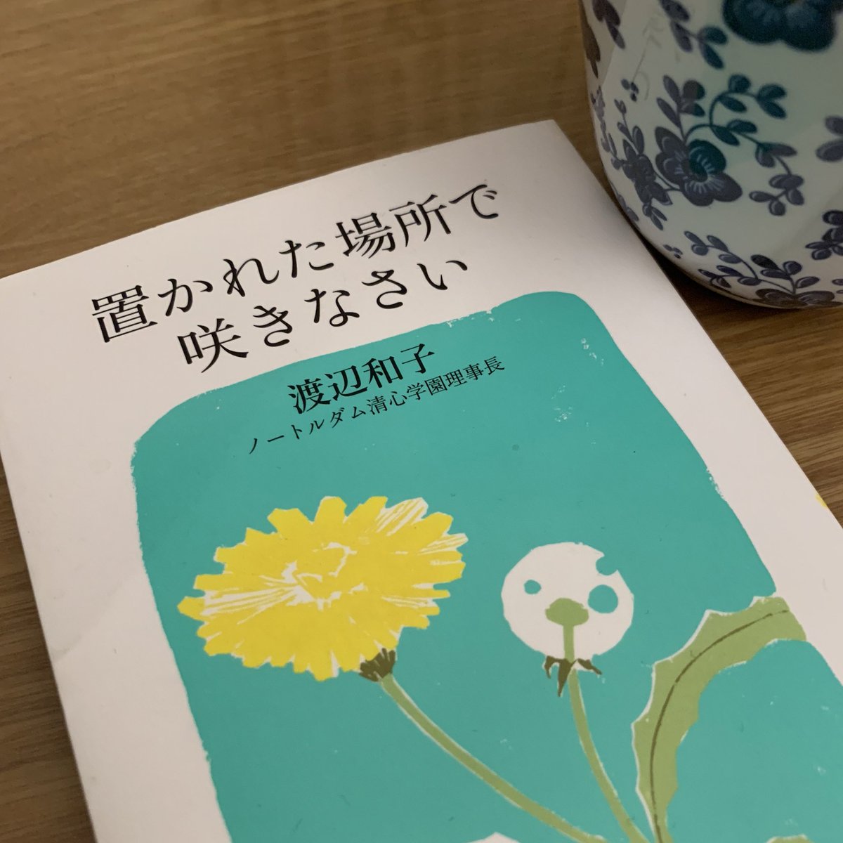 置かれた場所で咲きなさい