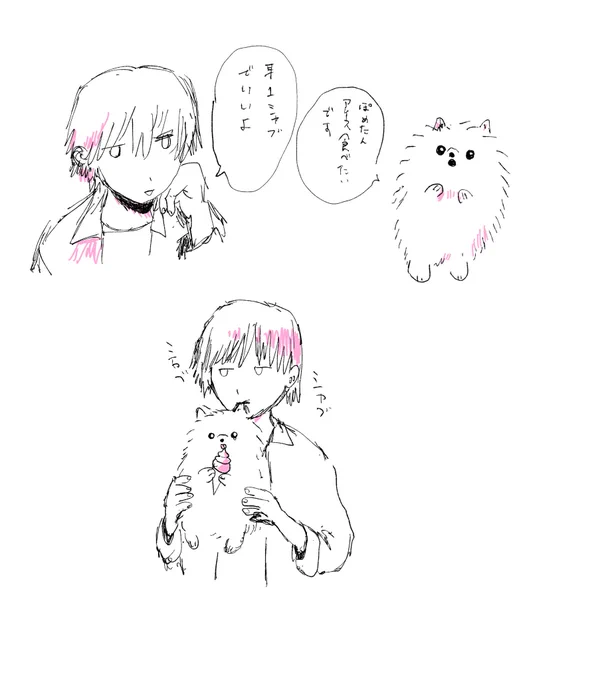 ポメラニアンと異常な飼い主 