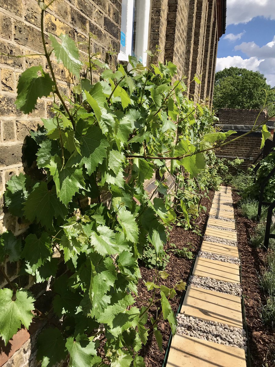 Mehul ⓥ ✊🏽🏳️‍🌈🏳️‍⚧️ tweet media