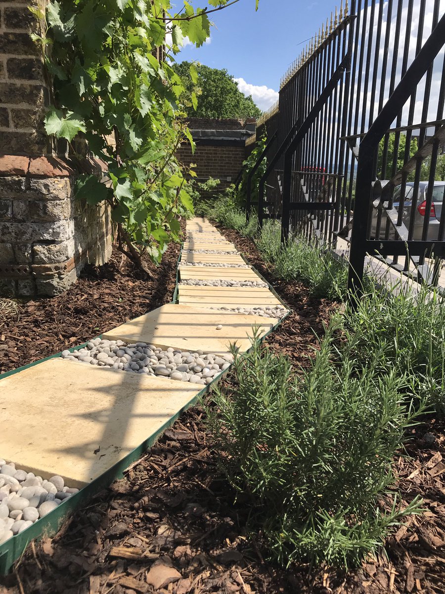 Mehul ⓥ ✊🏽🏳️‍🌈🏳️‍⚧️ tweet media