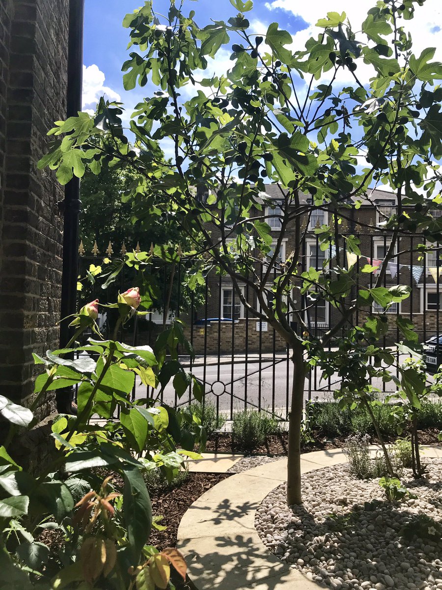 Mehul ⓥ ✊🏽🏳️‍🌈🏳️‍⚧️ tweet media