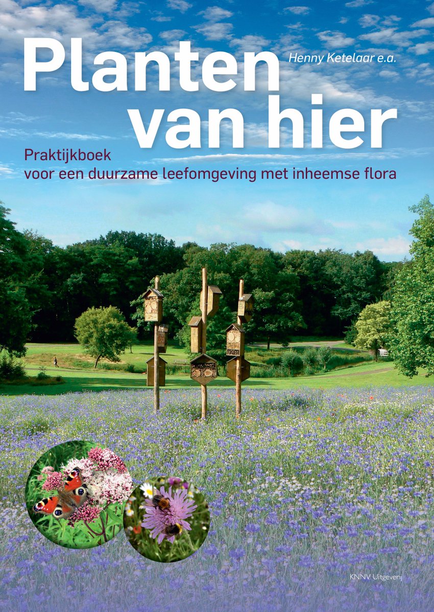 NLBloeit's tweet photo. @Radboud_Uni @radboudscience @radboudumc @gem_Nijmegen In oktober 2017 is het gras uit de berm verwijderd in plaats voor een zaaibed met wilde bloemenzaden van @cruydthoeck. Vandaag staat het er bloemrijk bij! #plantenvanhier #dutchwave #nativeflowers #flora https://t.co/4fvrLYIJuL