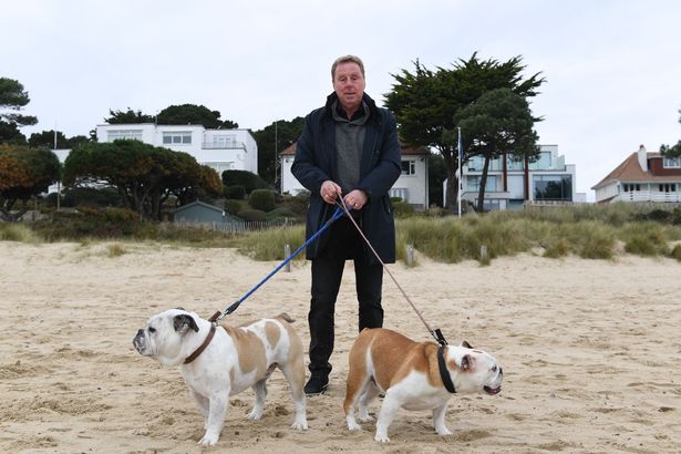 YoudanTrophy's tweet photo. he continued,
"We're gonna bring in and retain lots of world-class talent at FC Mudflats in the Floodplains Football League for Homeless &amp; Groundless Clubs"

"This is no way related to our recent acquisition of the Quorn Hunt, or those new kennels what Diane built up @Chaselodge" https://t.co/IGstbgS8nx