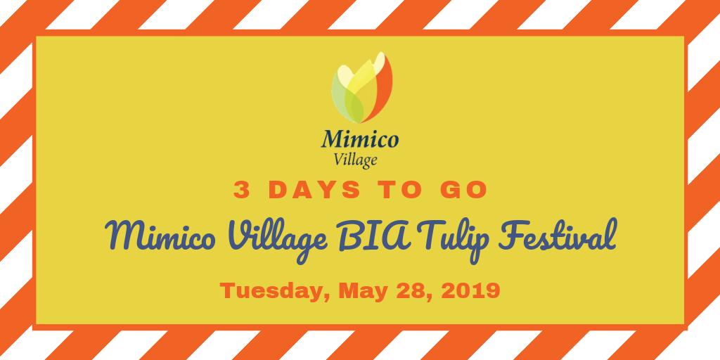 3 days to go
#MimicoVillage #mimicotulipfestival