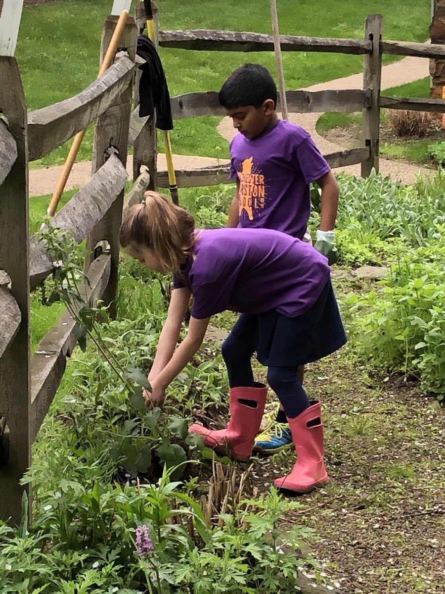 wt_bears's tweet photo. Lower School North Campus students put our #thinkalso credo into action during the final Morning Meeting of the year. Each class helped to clean and maintain a specific outdoor space on our seven-acre campus. #smartmeetsheart https://t.co/8qBtXjrq7J