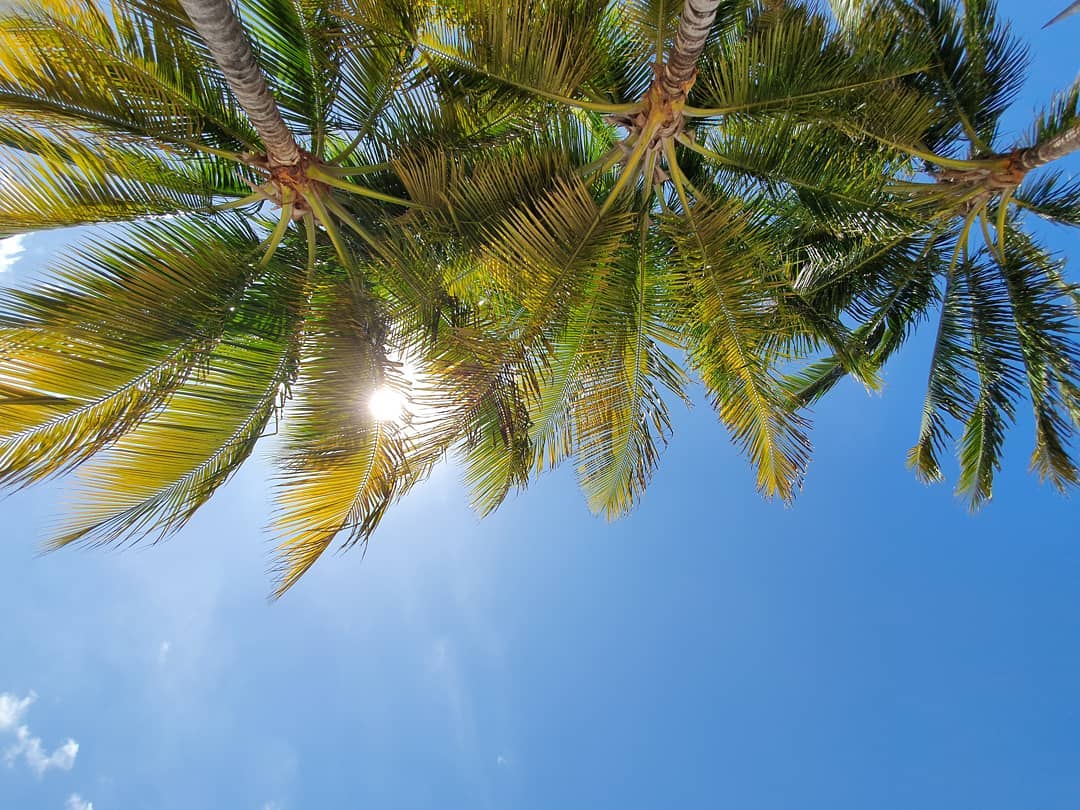 cheapcaribbean's tweet photo. Rise and shine, true beach lovers. #anotherday #anotherbeach https://t.co/WOobGK9moS
