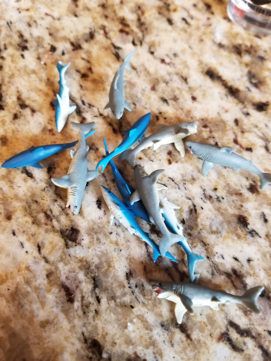 Mr_Noshtims's tweet photo. Baaaby Shark do do do do do do dodado. Presents for @jauz today 😊😋🦈🦈
#MyLEDUSA #LEDUSA #babyshark #bitethis https://t.co/vO1mGnyrp0