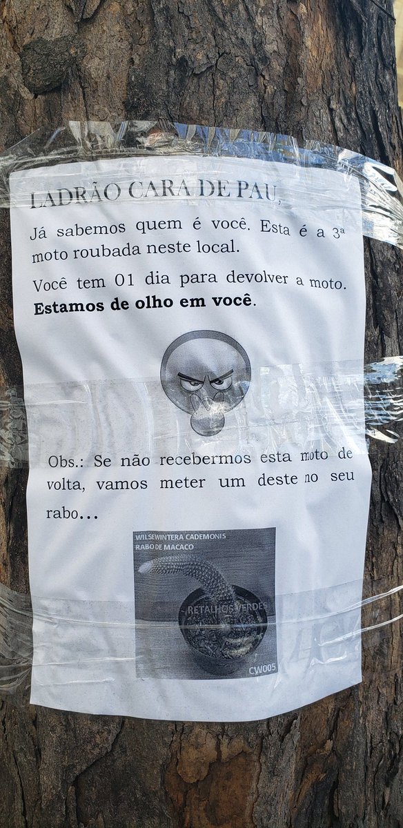 DougKun's tweet photo. Fica esperto aí seu ladrão kkk https://t.co/43qq6nLGyb