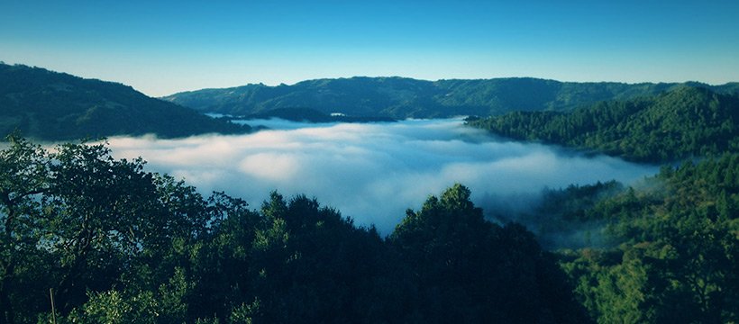 SunAndEarthCert's tweet photo. Sun+Earth Certified is designed to promote Cannabis grown under the sun with regenerative organic farming methods by fairly paid farmers &amp; farm workers. Good article about us in Leafly https://t.co/sP3Ls1MNiX with quotes from David Bronner and Michael Steinmetz CEO of Flow Kana https://t.co/FhvzBE6dYX