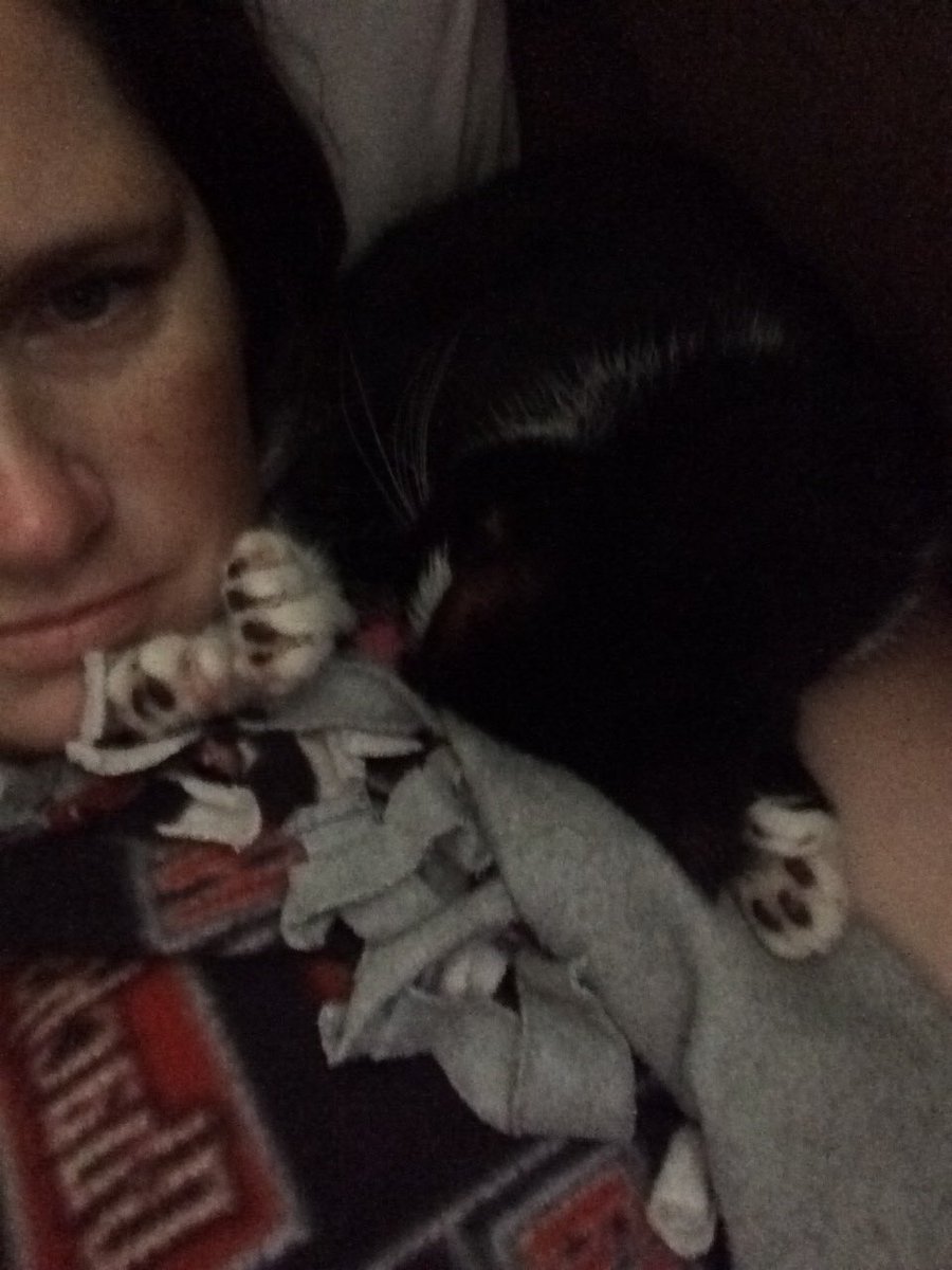 Idriasee's tweet photo. Kittens sleep in the weirdest positions https://t.co/KpkNsIWC3s