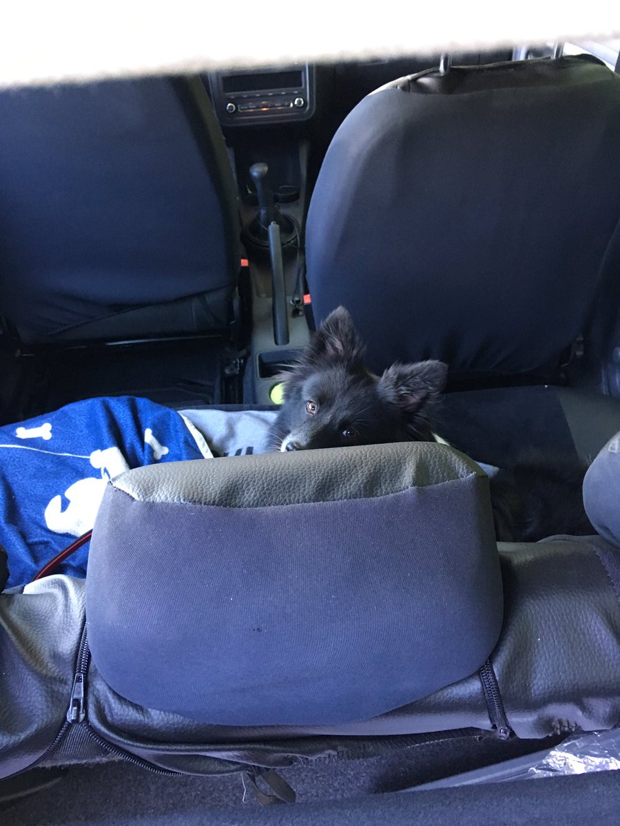 Cruisen Hashtag On Twitter