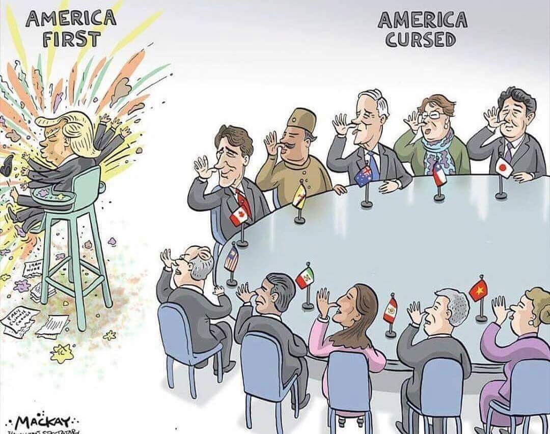Catz4peace's tweet photo. #TrumpsPutinsPuppet #TrumpsASexPredator #TrumpsMakingUpMoreLies #TrumpsARacist #TrumpRussiaCoverUp #TrumpsDumbAsAStump https://t.co/L8r4305Dev
