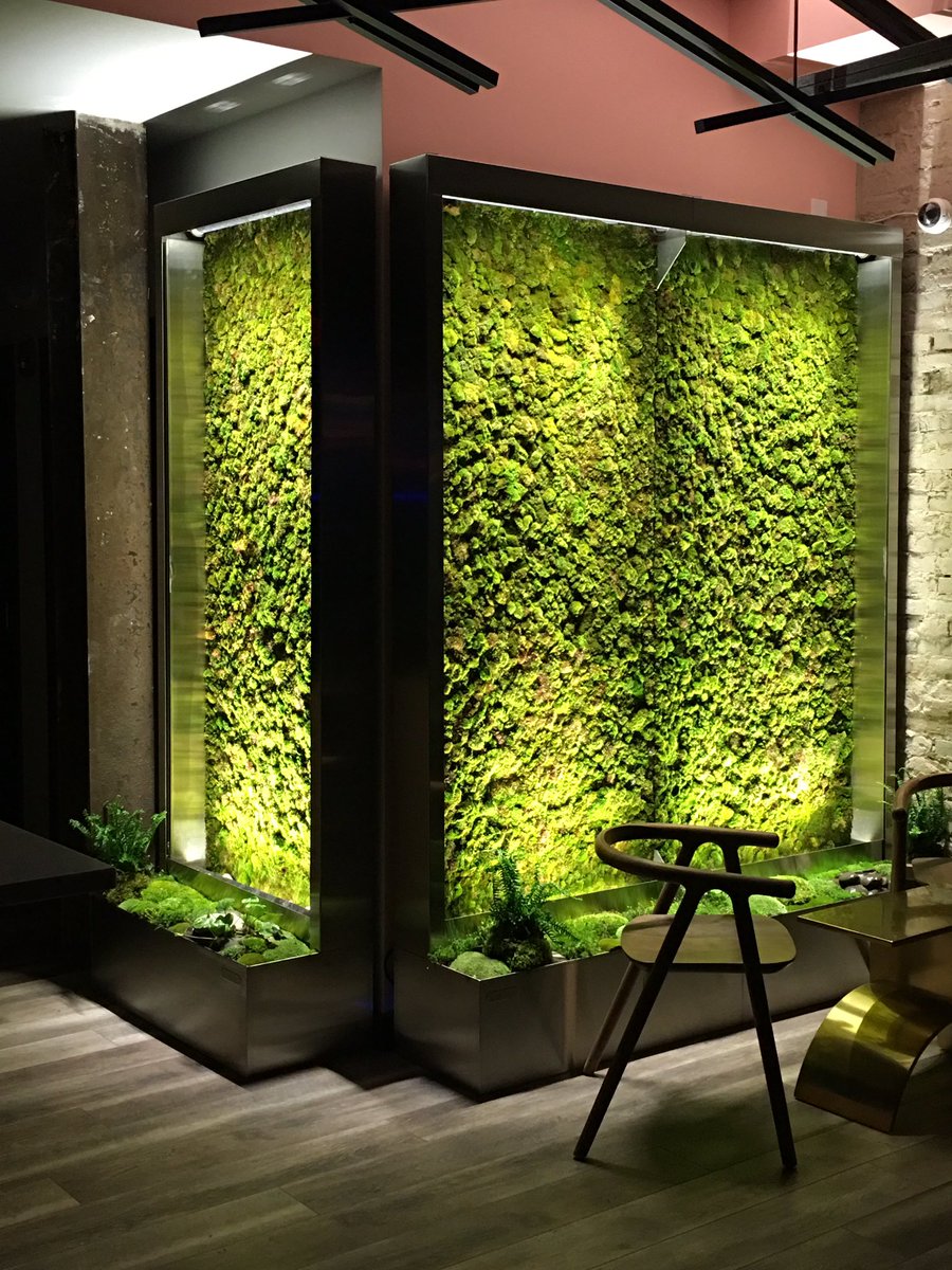 Our newly-installed #mosswall