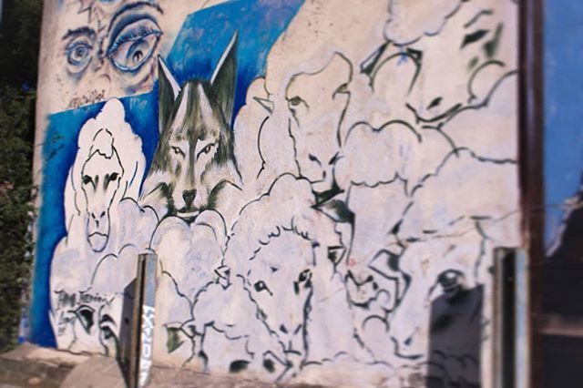 cgonbag's tweet photo. A Wolf in sheep's clothing.  Which one are you? 🐺🐑 #wolfinsheepsclothing #streetartbarcelona #streetartbcn #streetart #arteurbano #streetartdaily #streetartist #stopthetorture #streetartphotography #mural #muralismo #wolvesinsheepsclothing #wolf #she… https://t.co/wkzYw2ctc4 https://t.co/7qgfs23qzn