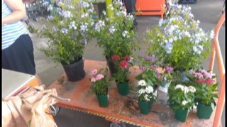 TerryThurst's tweet photo. Happy 8447 shoppers today https://t.co/dM7zbvjVN7