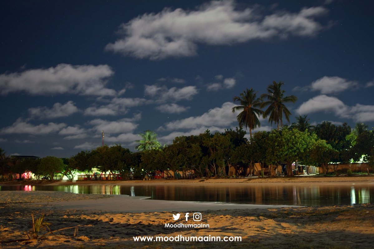 moodhumaainn's tweet photo. Experience the local life by staying among them.
For reservations and bookings;
Call +960 7941127 or email info@moodhumaainn.com
https://t.co/ajYBhfWmZr https://t.co/cJPfsemmDy