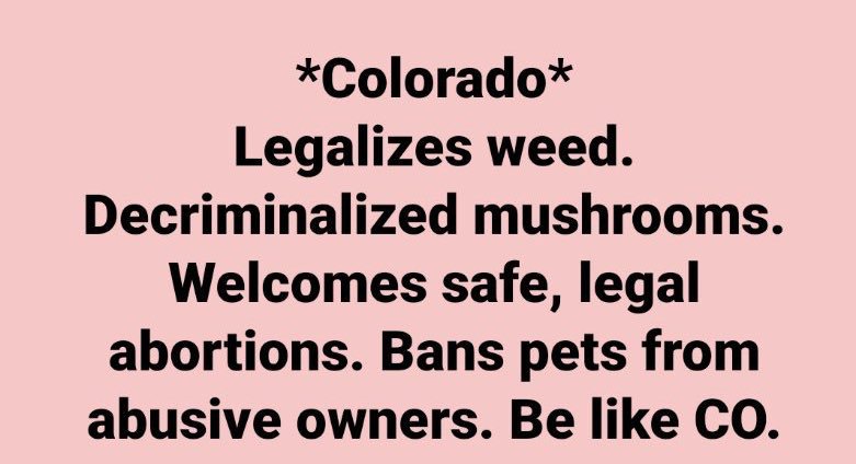 KendallRaeOnYT's tweet photo. Colorado is the shit and everyone is jealous https://t.co/qo4qcNrZR4