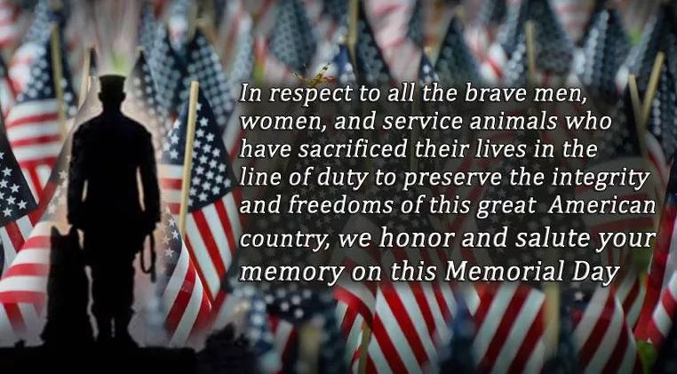 OverwatchK9's tweet photo. This #MemorialDayWeekend, please join us in honoring all of America’s fallen military heroes, including the brave military dogs who made the ultimate sacrifice in service to our country. 
#Military #Hero #heroes #USMC #USNavy #USAF #USArmy #FreedomIsNotFree #Salute #HonorThem https://t.co/6F5eLiYId5