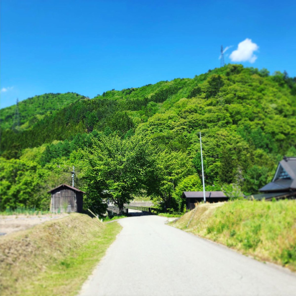 前沢曲家集落 Traola Twitterren