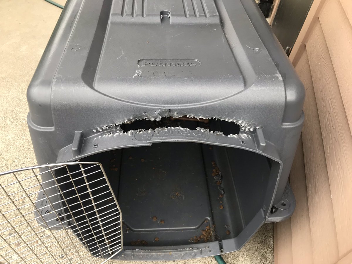 <a href="/ImpactDogCrates/">Impact Dog Crates</a>  we could really use a crate donation for our super naughty rescue pups!