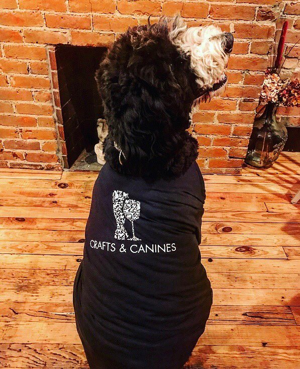 Crafts_Vines's tweet photo. New Merch Alert! The floofiest dog model @bernedoodlephilip shows off some sweet new threads from @applecityheadpets. Available in our bottle shop size S-Philip (aka 2xl) for $28 ❤️😬#lovethcov
.
.
.
.
.
#shopsmall, #neighborhoodbar, #friendandneighbors, #womanowned https://t.co/iqXDjPo7v5