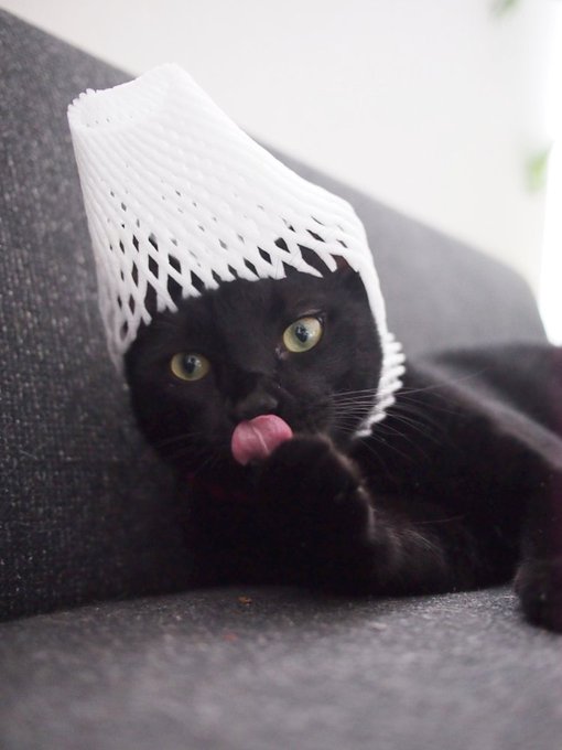 ソース画像を表示