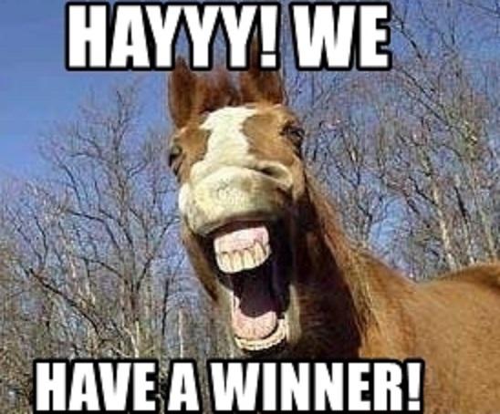 Apollo Bingo Durham on Twitter: "WE HAVE A WINNER! Our final winner of a  VIP session for 2 is Hannah Fletcher!Well done Hannah. Once again, thank  you to everyone for getting the