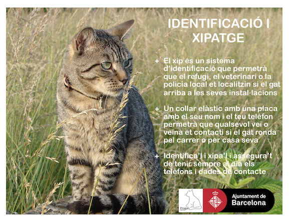 ProgatCatalunya's tweet photo. #xipar i #identificar per evitar pèrdues i facilitar retrobaments. #TinençaResponsable No te la juguis! 💚🐱🐶 https://t.co/Xrs0300oHd