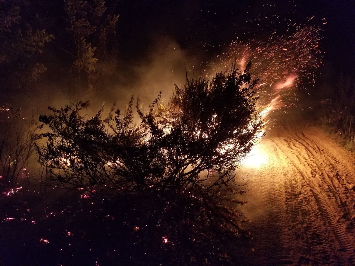 RiverCityFire's tweet photo. Thank you @BCGovFireInfo @OysterRiverFire and @bchydro for the assistance and great teamwork on the Argonaut wildfire in Campbell River. https://t.co/OQgmFSzHfx