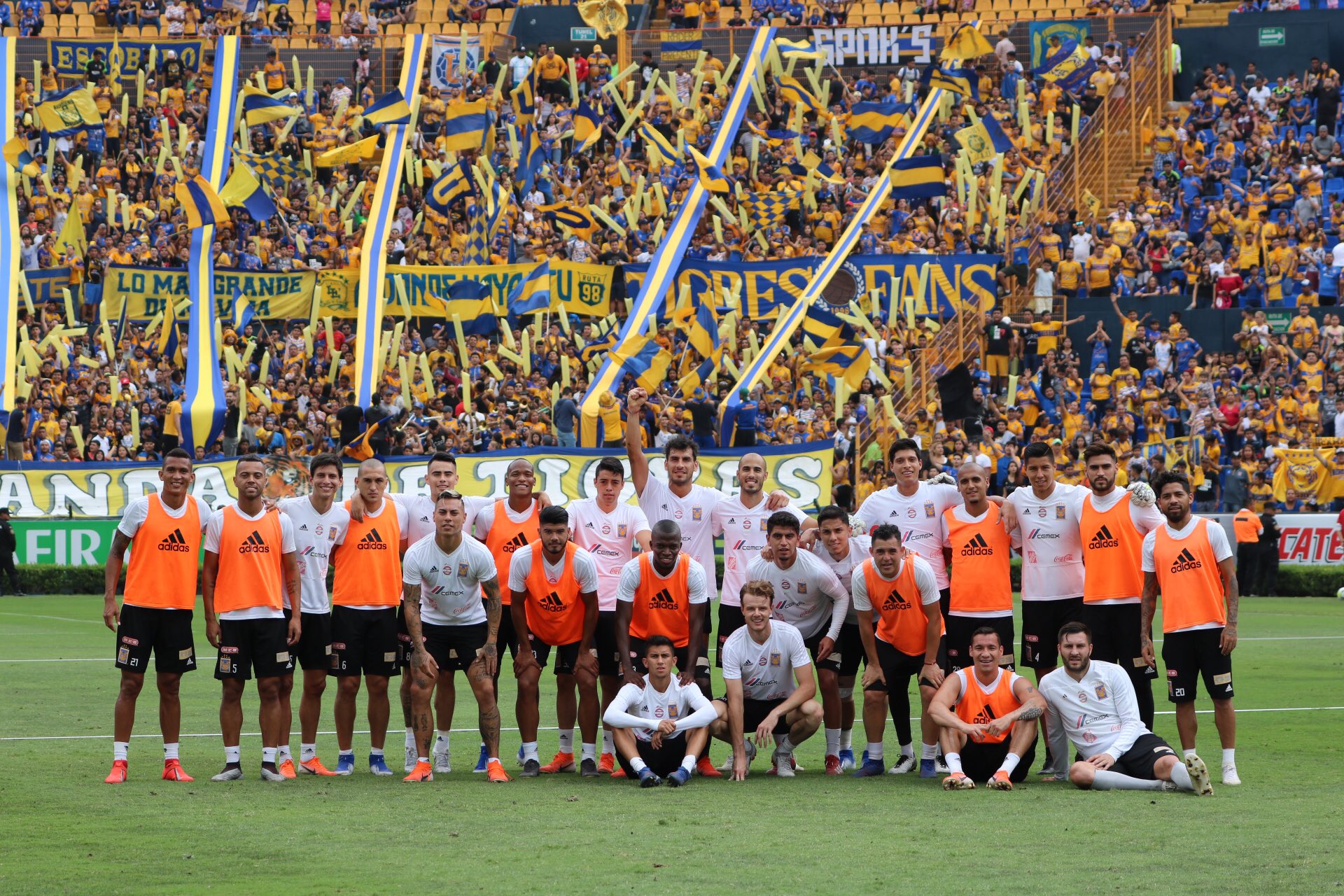 Tigres