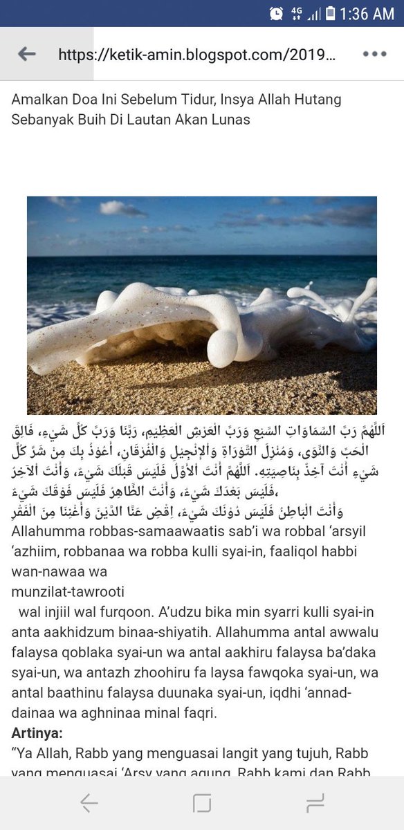 MahbubiRidal's tweet image. 