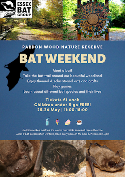 ParndonWood's tweet photo. This weekend its our famous bat event! Come along for a fun filled bat themed day that will be interesting for all ages. The cafe will be serving tasty snacks too ) https://t.co/m86cxQsXoM