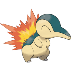 BulbaGanda's tweet photo. The Holy Trinity of the starters. https://t.co/5GQpVoro84