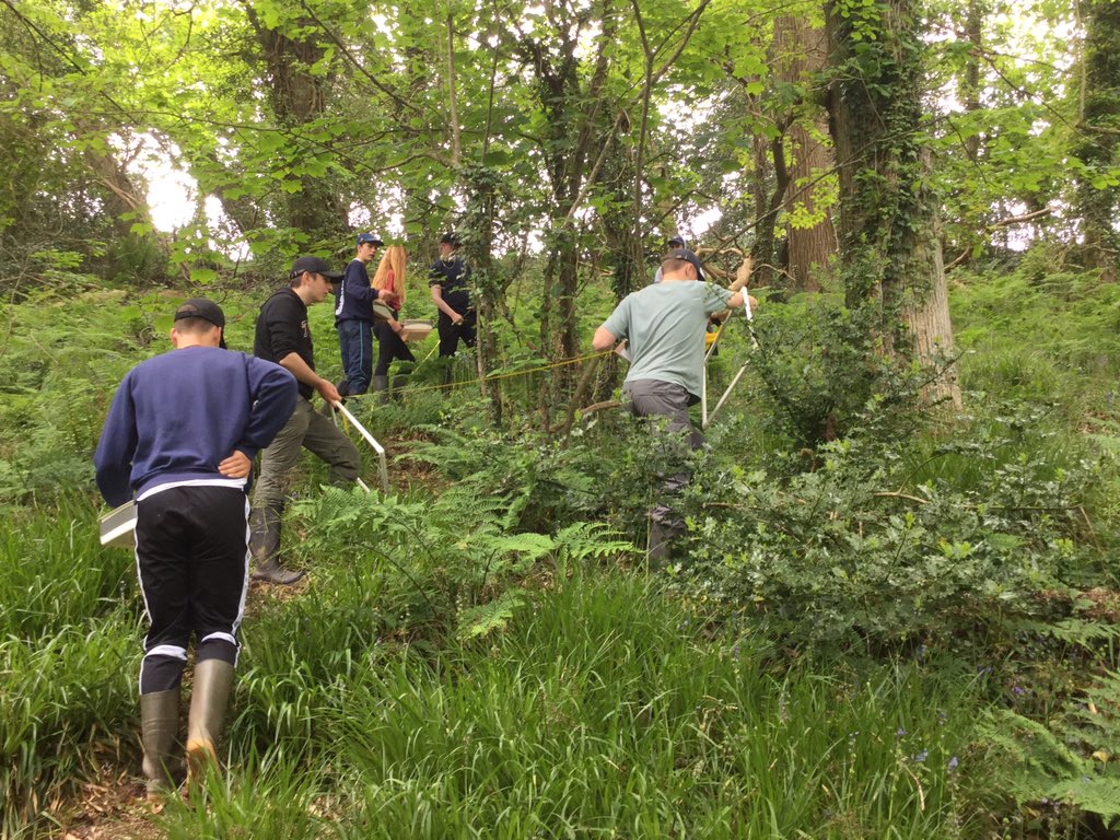 ChurchersSci's tweet image. Ancient woodland biodiversity study #theresince1600 #simpsonsindex #tickalert #ChurcherBiology @ChurchersSixth