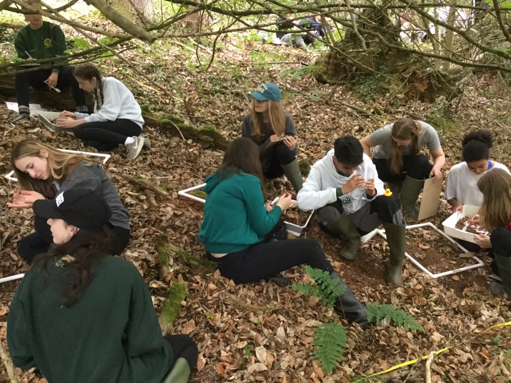 ChurchersSci's tweet image. Ancient woodland biodiversity study #theresince1600 #simpsonsindex #tickalert #ChurcherBiology @ChurchersSixth