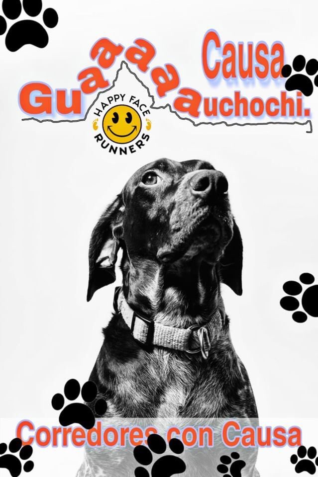 HappyFaceRunners tweet media