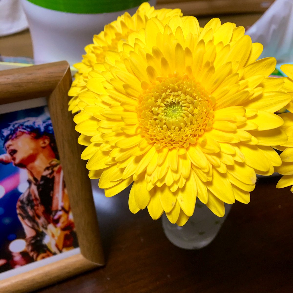 花言葉は究極愛