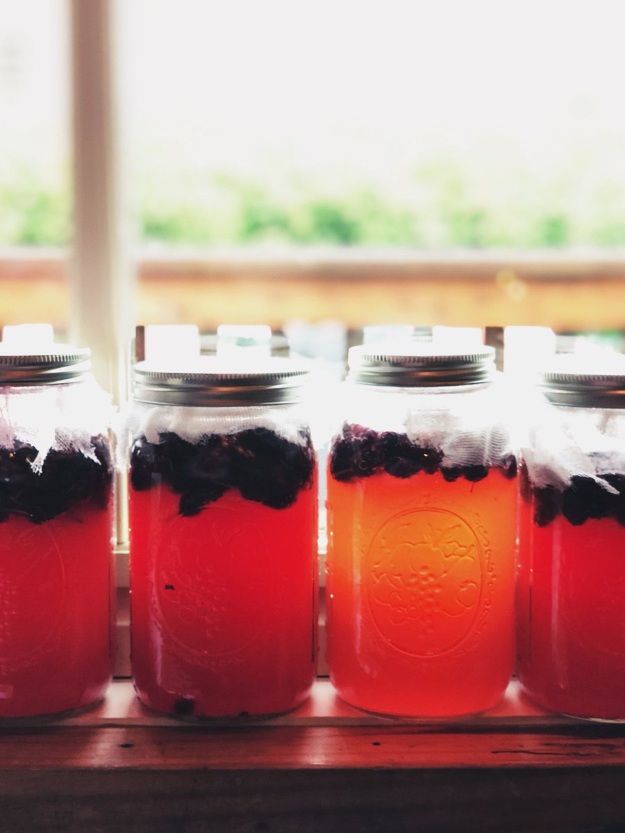 TableAndMain's tweet image. Steeping mulberry vinegar! #VisitRoswellGA