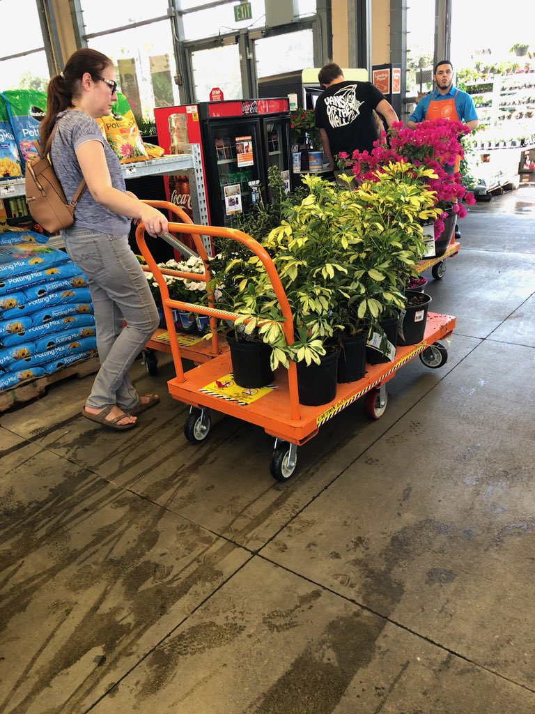 TerryThurst's tweet photo. 6828 is having a great day in sales https://t.co/CIqrVEIqGt
