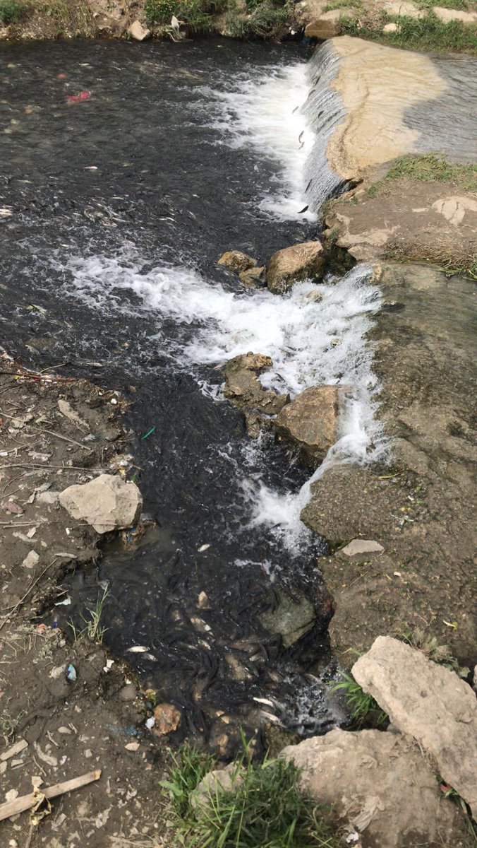 Yeni balık bendi iskele caddesi oduncular durağında. Van Balığının efsanevi yolculuğunu burada izleyebilirsiniz.  <a href="/igorentas/">İbrahim Görentaş</a> <a href="/ozturkcemil/">Cemil ÖZTÜRK</a> @ercan6565 <a href="/vanlinihathoca/">Vanlı Nihat Hoca</a> <a href="/ErdognOzel/">Dr. Erdoğan Özel</a>