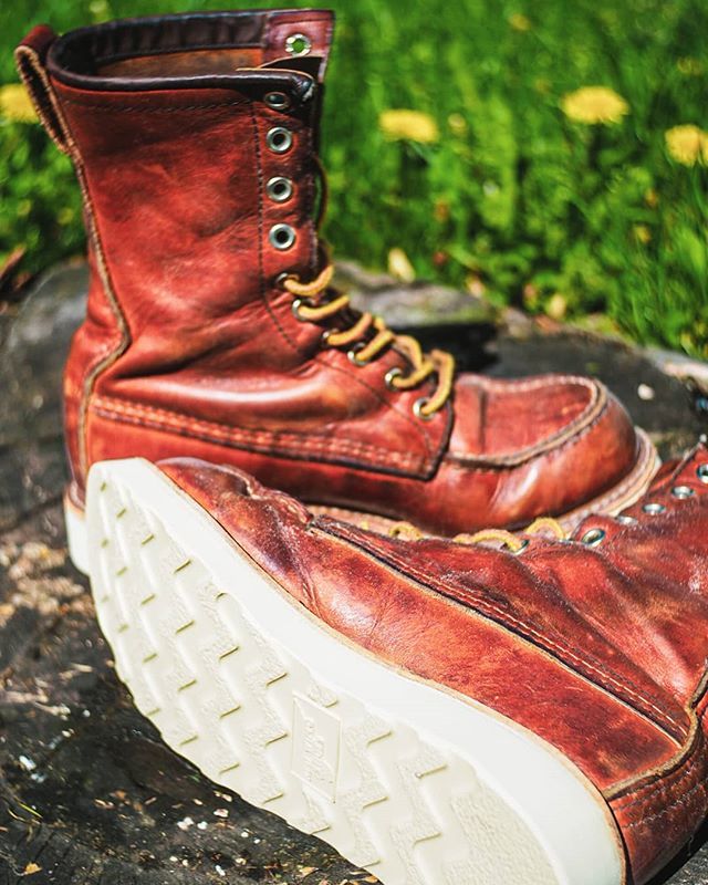 CruelShoes's tweet photo. Sole Fresh
My daughter's @redwingheritage #877 with some fresh, new sole. She will be so happy to have these back and to start putting some more patina and love into them.
---
--
-
#redwingheritage #redwingheritagewomen #redwingboots #redwingwomen #redwi… https://t.co/kk7QdkkH9q https://t.co/JmK1rnReB8