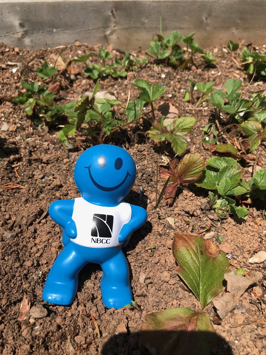 James Reddin tweet media