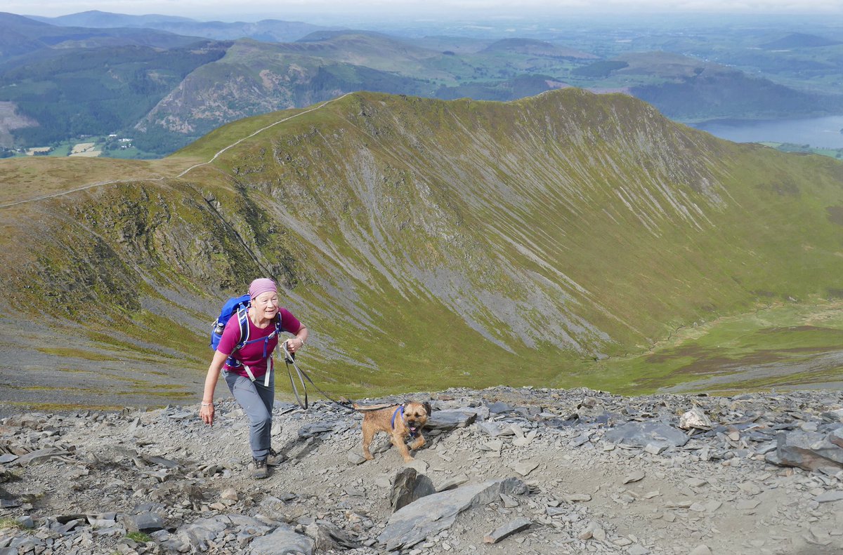 BtCulter's tweet photo. That’s me completed the #Wainwright northern fells 🐾😛🐾 The folks took me on a long scenic route over #Skiddaw to get to #Bakestall 🐾😀🐾 https://t.co/rYJIAgI2kz
