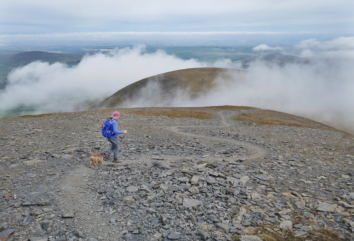 BtCulter's tweet photo. That’s me completed the #Wainwright northern fells 🐾😛🐾 The folks took me on a long scenic route over #Skiddaw to get to #Bakestall 🐾😀🐾 https://t.co/rYJIAgI2kz