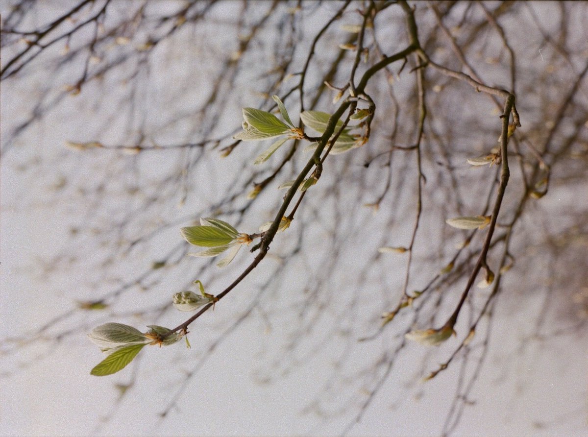 Brand new festival! Deliberately looking away from the usual headliners dominating the festival scene, the line-up for #nakedcityfestival this July focuses on home-grown talent - jazz, house, afro, dub and disco, they've got you covered! festivalforyou.com/festivals/lond…